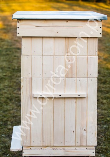IMG_2897.jpg