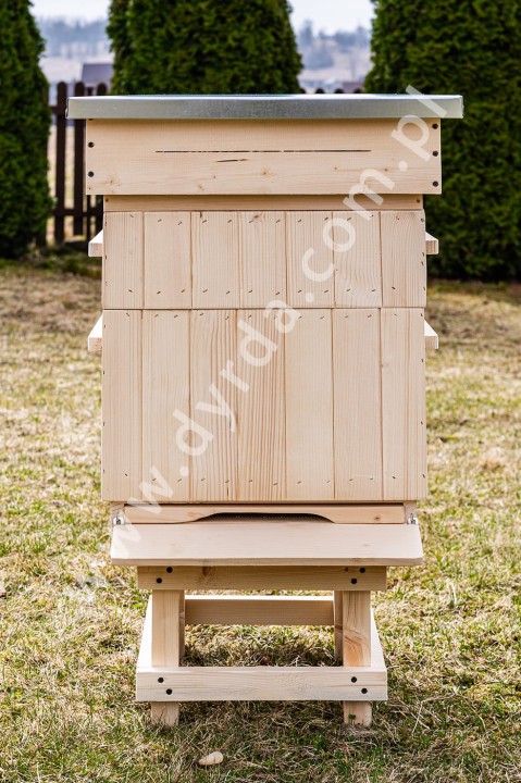 sowinskifoto0005.jpg